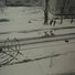 Cropped_68_dsc_6070