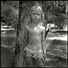 Cropped_68________2