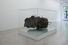 Proportional_68_peter1