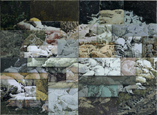 Proportional_227_52782_li_songsong