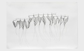 Proportional_167_af491e73bd