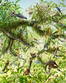 Proportional_227_feature_inc-_isabella_kirkland__canopy