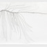 Cropped_68_24064fd546