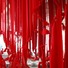 Cropped_68_meso_037__2_