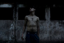 Proportional_227_citizen-x-14