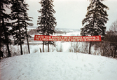Proportional_167_russianpavilion6