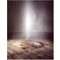 Cropped_68_kapoor
