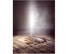 Proportional_68_kapoor