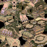 Cropped_68_facingface_terrestrial_trance_tree_ab