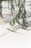 Proportional_68_willowcloseup1_a4