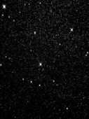 Proportional_227_c575c8dc43
