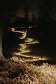 Proportional_227_nwknolepark_1_highress