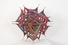 Proportional_68_2aa665b550