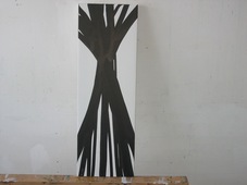 Proportional_227_img_3872