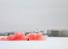 Proportional_68_commercialginzberg