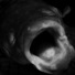 Proportional_68__0306crucian_carp