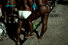 Proportional_68_ramos-20