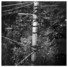 Proportional_68_clarkpg3_large_image1