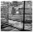 Proportional_68_clarkpg3_large_image6