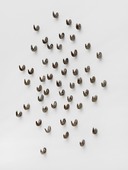 Proportional_227_730d0f6e95