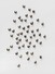 Proportional_68_730d0f6e95