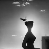 Proportional_227_untitled_6