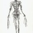 Cropped_68_edward_drawing