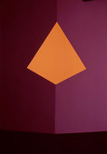 Proportional_227_01