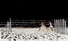 Proportional_68_matt-rota-beach