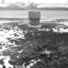 Cropped_68_earth_works_02