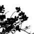 Cropped_68_d7764b1145