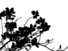 Proportional_68_d7764b1145