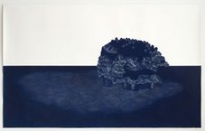 Proportional_227_from-the-within-out1