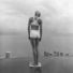 Proportional_68_gall008276_lg
