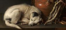 Proportional_227_dog