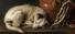 Proportional_68_dog
