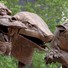 Cropped_68_ww2__2_