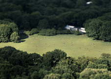Proportional_227_sheepsmeadow-lawn43x60