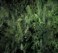 Proportional_227_04_makandal_ny_2_final