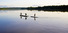 Proportional_68_kluge3