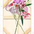 Cropped_68_42974