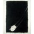 Cropped_68_dill_ghost-eyes