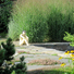 Cropped_68_bfc93288f0