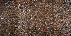 Proportional_227_16small