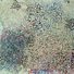 Cropped_68_0631