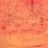 Cropped_68_1083_400_700