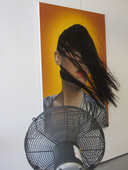 Proportional_227_aps_crushii_72