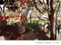 Proportional_68_5816748294_284c98b324