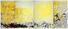 Proportional_68_11979_300_copy1