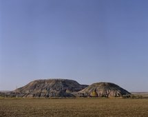 Proportional_227_017
